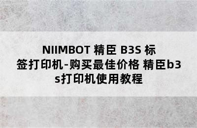 NIIMBOT 精臣 B3S 标签打印机-购买最佳价格 精臣b3s打印机使用教程